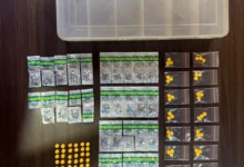 2050adc8-240a-492a-8b86-46409a860445