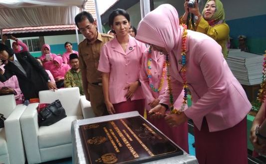 Ibu Kapolda Metro Jaya , Fitri Idham Azis