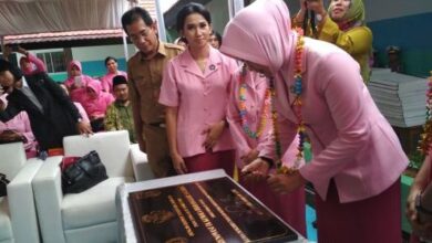 Ibu Kapolda Metro Jaya , Fitri Idham Azis