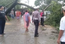 0916cde9-66a3-4d58-b9a4-42e07f7f2371