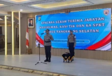 21aea631-c919-41de-bbe3-20d8940e46eb