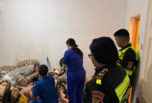 33512e51-d36b-4b25-a8ab-3a3cd043e3f6