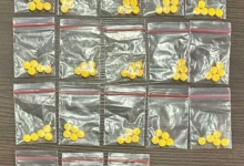 88faf1a5-3800-40b8-8ff3-c83d99a5fccc