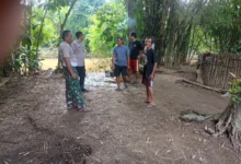 94fcc218-6287-4699-b11d-7b2bfdddf7ab