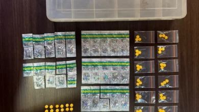 2050adc8-240a-492a-8b86-46409a860445