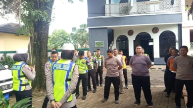 776d3e4a-0c8c-47ec-9d78-ae3446d3bf0f