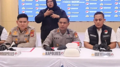 a1d6c683-96e3-4fdf-950f-b8988718e00f