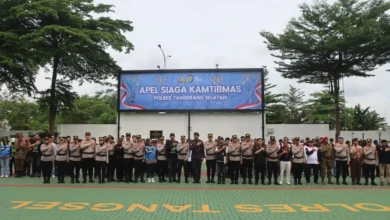 d496e216-3272-4328-97a5-1e04ab8a381c