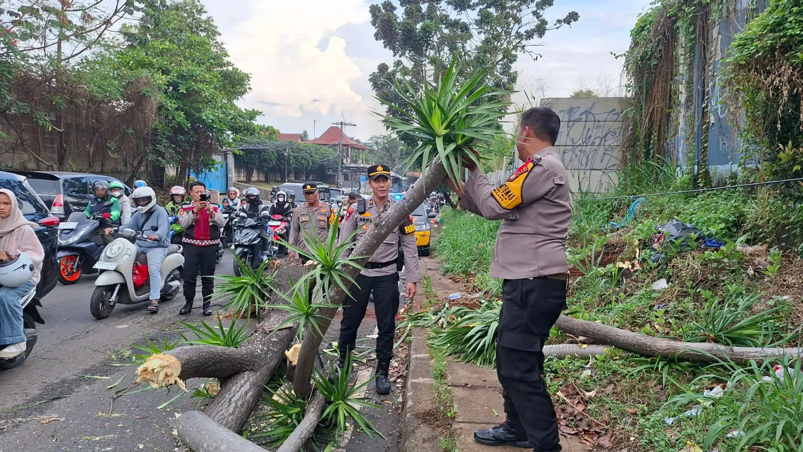 10cfae99-9d76-4e04-837a-77063a824be2