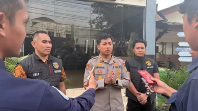 1154ab8a-ce9a-40d4-94d6-c25a802cc339