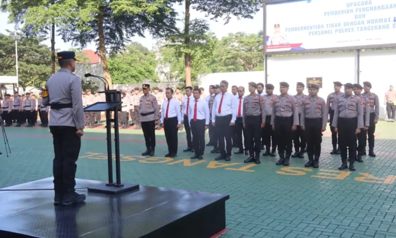 c1b94dd5-e20d-4d51-b050-eb4b0e6be186