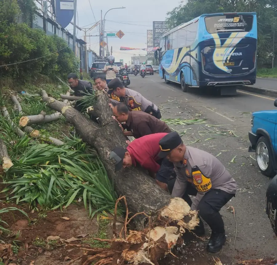 ce2b60d4-8c5d-4bef-93f9-894584927400