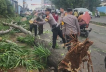 d5b9f941-36ba-4a0b-8b10-82e523c31f8b