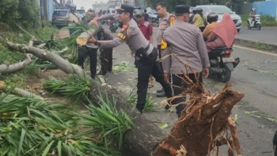 d5b9f941-36ba-4a0b-8b10-82e523c31f8b