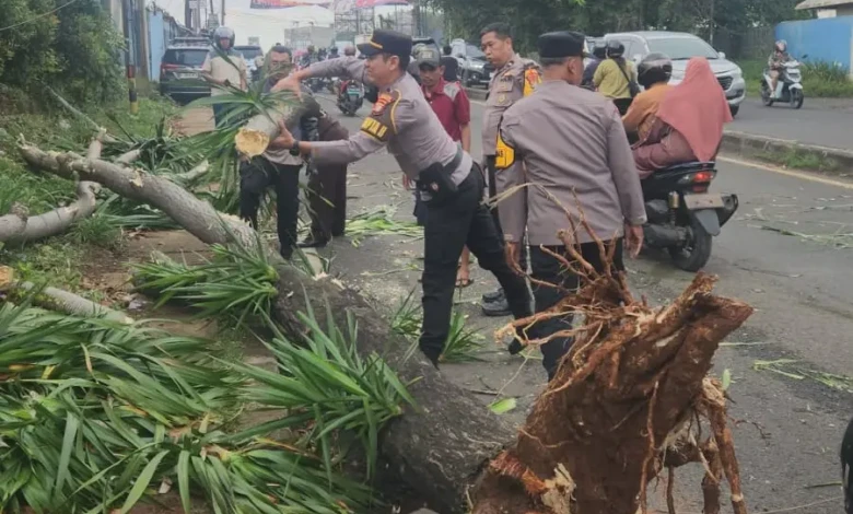 d5b9f941-36ba-4a0b-8b10-82e523c31f8b