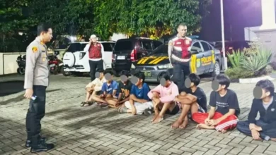 dca52c44-e58b-4a9f-88a7-4c46b67ebd54