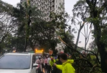 f355157d-c207-4e59-8caf-673627830dd3