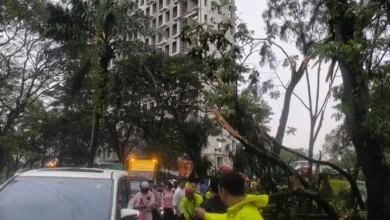 f355157d-c207-4e59-8caf-673627830dd3