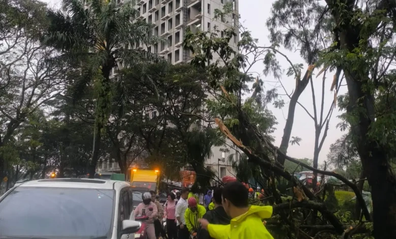 f355157d-c207-4e59-8caf-673627830dd3