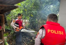 WhatsApp Image 2026-04-14 at 17.33.51