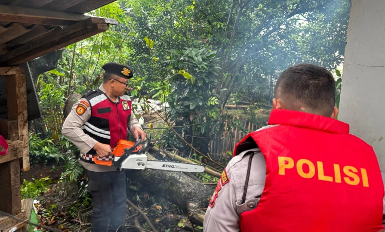 WhatsApp Image 2026-04-14 at 17.33.51