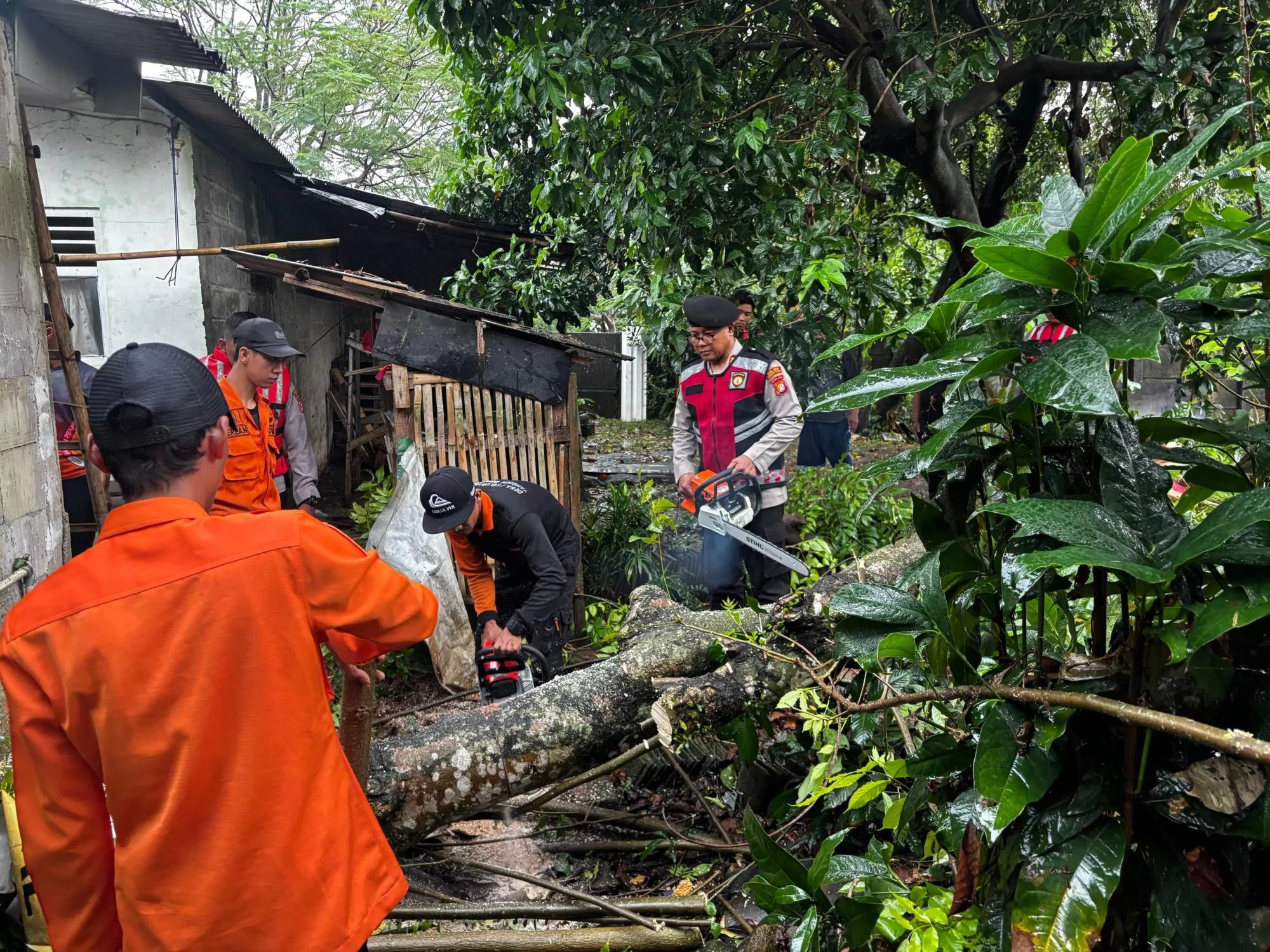 WhatsApp Image 2026-04-14 at 17.33.52