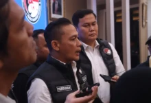 WhatsApp Image 2026-04-22 at 17.07.16