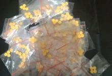 WhatsApp Image 2026-04-25 at 19.15.49