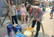 WhatsApp Image 2026-08-04 at 13.08.11